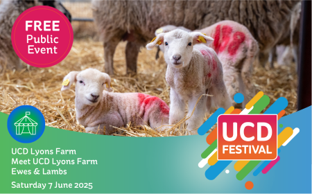 Lyons Farm to showcase at UCD Festival
